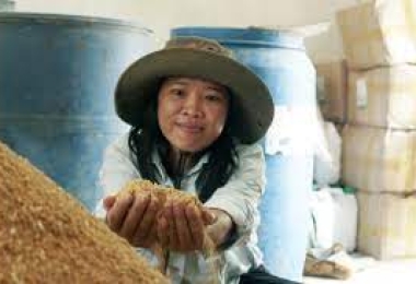 Kinh nghiệm ủ thức ăn chăn nuôi vi sinh ở Sóc Sơn